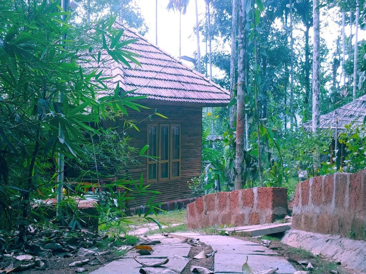 Misty Mornings Resort Ambalavayal Luaran gambar