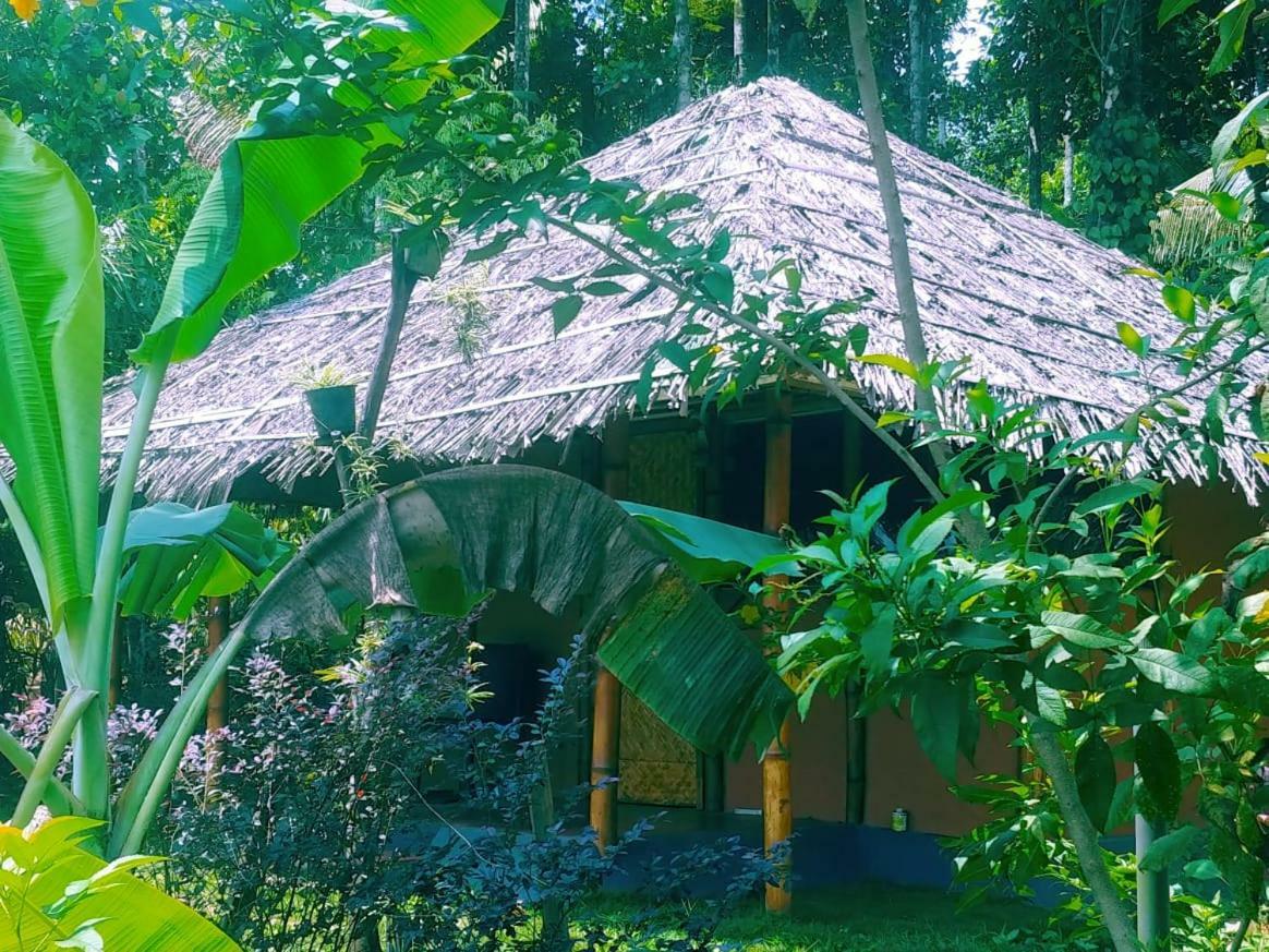Misty Mornings Resort Ambalavayal Luaran gambar