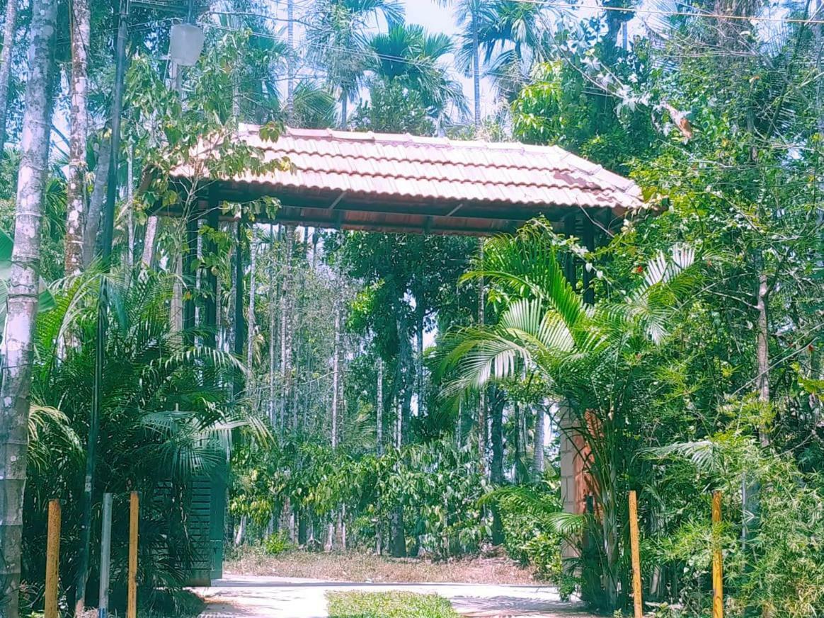 Misty Mornings Resort Ambalavayal Luaran gambar