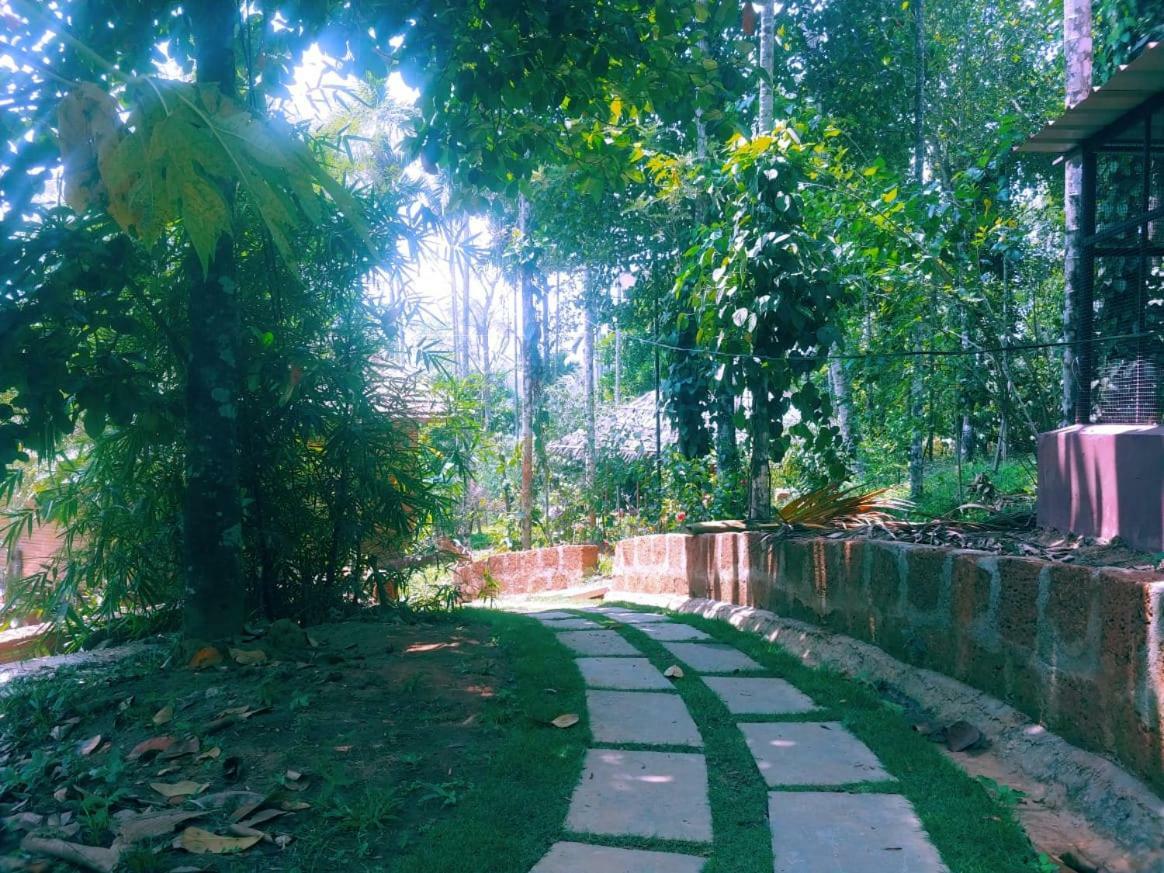 Misty Mornings Resort Ambalavayal Luaran gambar