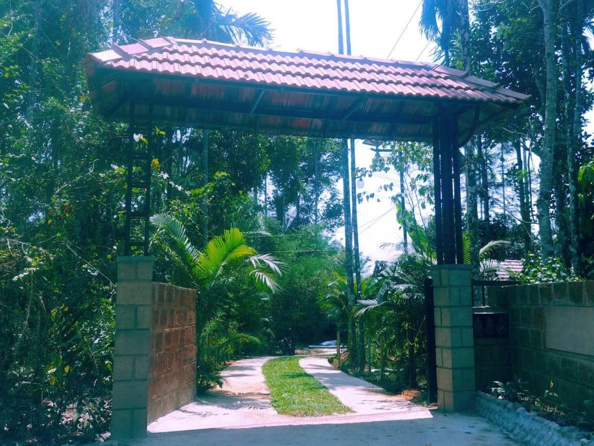 Misty Mornings Resort Ambalavayal Luaran gambar