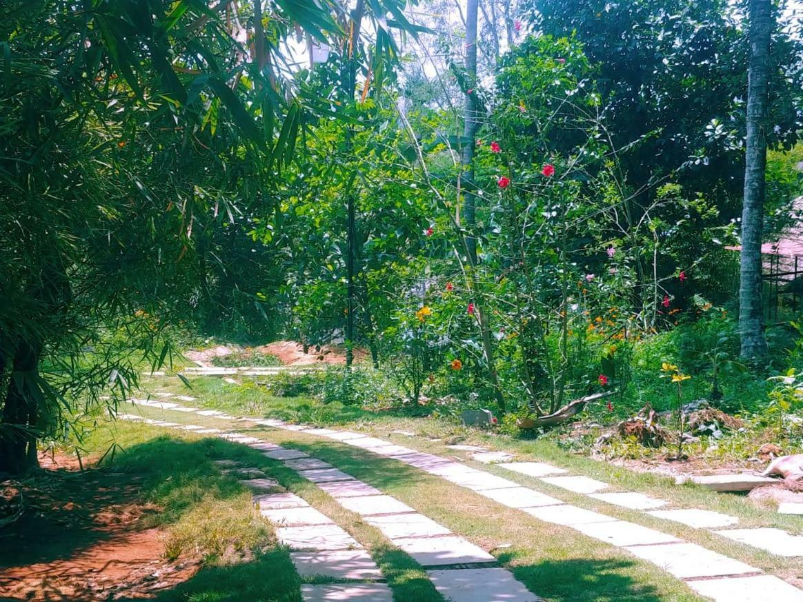 Misty Mornings Resort Ambalavayal Luaran gambar