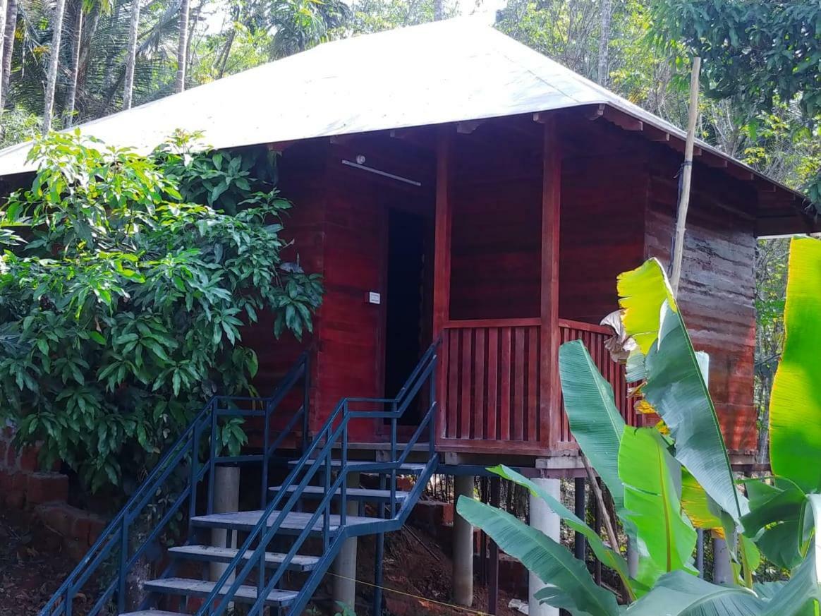 Misty Mornings Resort Ambalavayal Luaran gambar